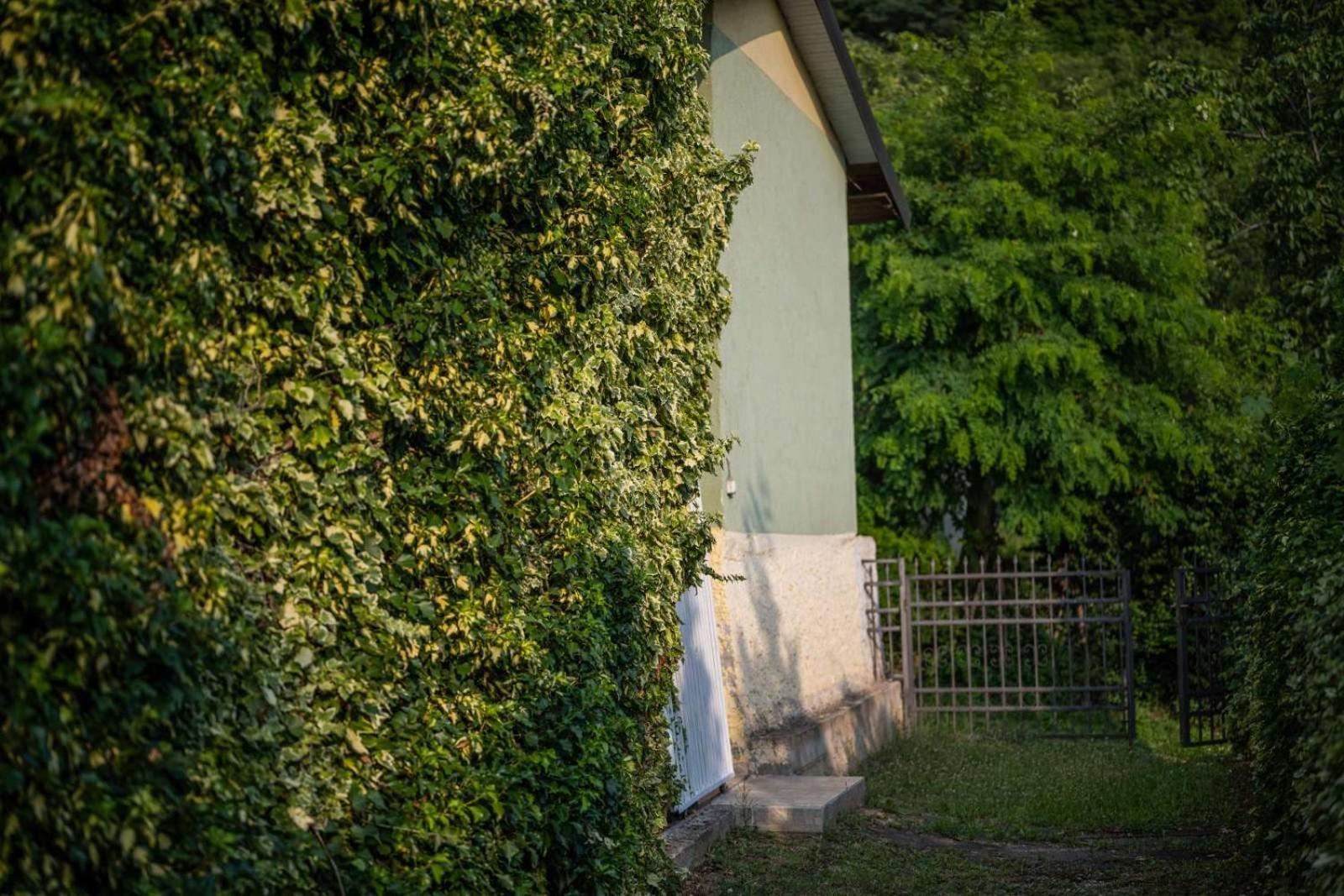 Vacation Home Rot 奥赫里德 外观 照片